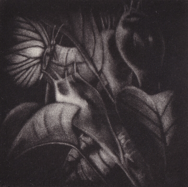 Gravures & estampes intitulée "LE POIRIER- L'ETE:…" par Dominique Keruzec (Maho), Œuvre d'art originale, Gravure