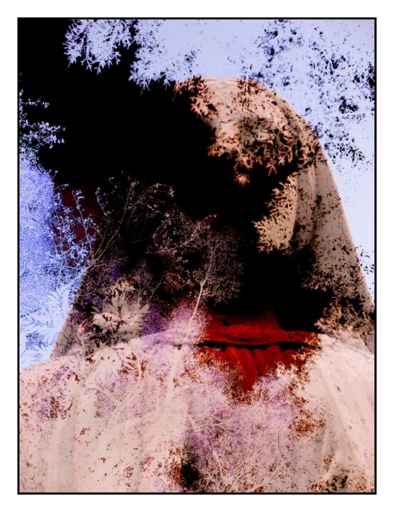 Photographie intitulée "Abstraction 1" par Borrel, Œuvre d'art originale, Photographie numérique