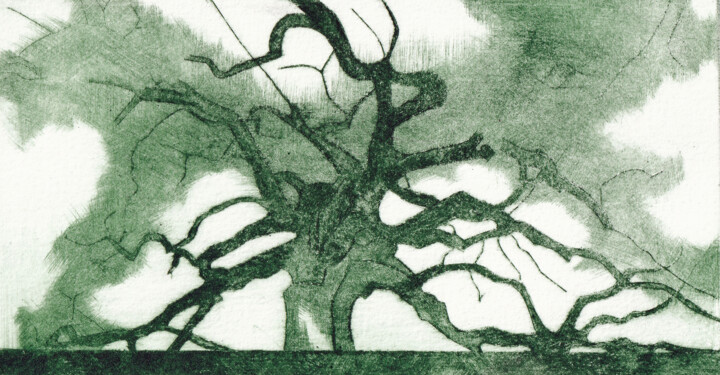 Gravures & estampes intitulée "LE GEANT" par Dominique Keruzec (Maho), Œuvre d'art originale, Gravure