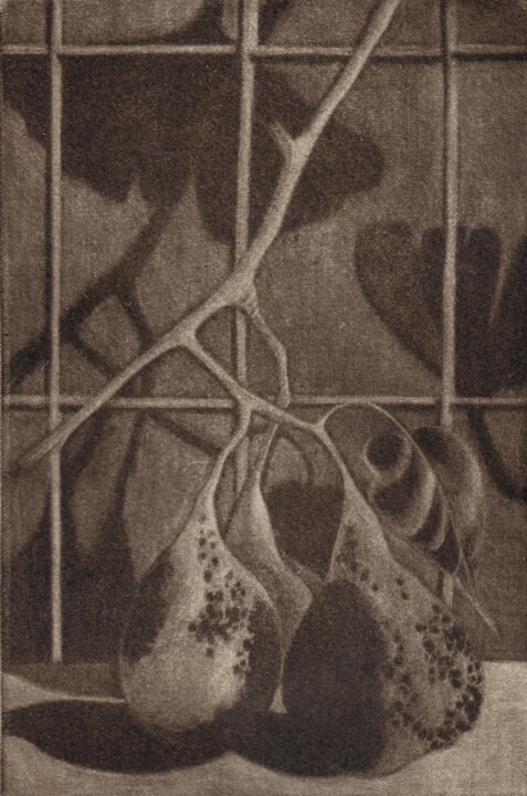 Gravures & estampes intitulée "TROIS POIRES A MIDI" par Dominique Keruzec (Maho), Œuvre d'art originale, Gravure