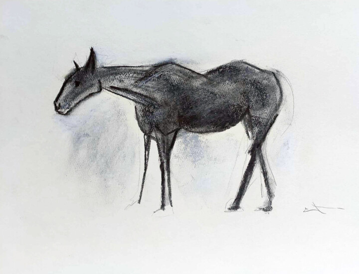 Cheval (1) 图画, 10.9x14.6 in