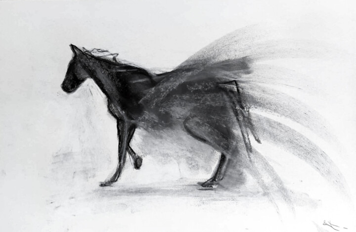 Pégase 图画, 10.9x16.5 in