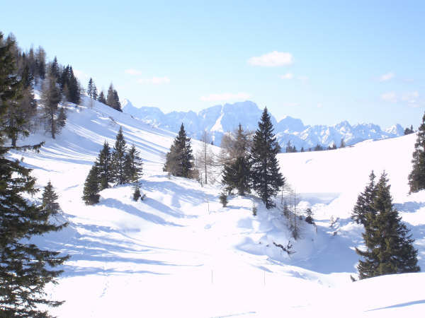 Fotografia intitulada "Austria" por Cesc, Obras de arte originais