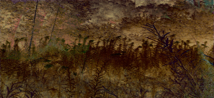 darkness falls 摄影, 10.2x22.4 in