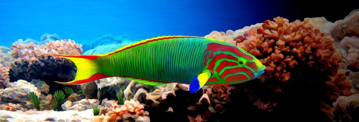 Digital Arts titled "Girelle Paon (à que…" by Yvan Flame, Original Artwork, Digital Painting Mounted on Wood Stretcher frame