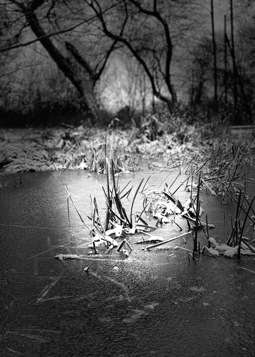 Wiosna Fotografia, 27,6x19,7 in