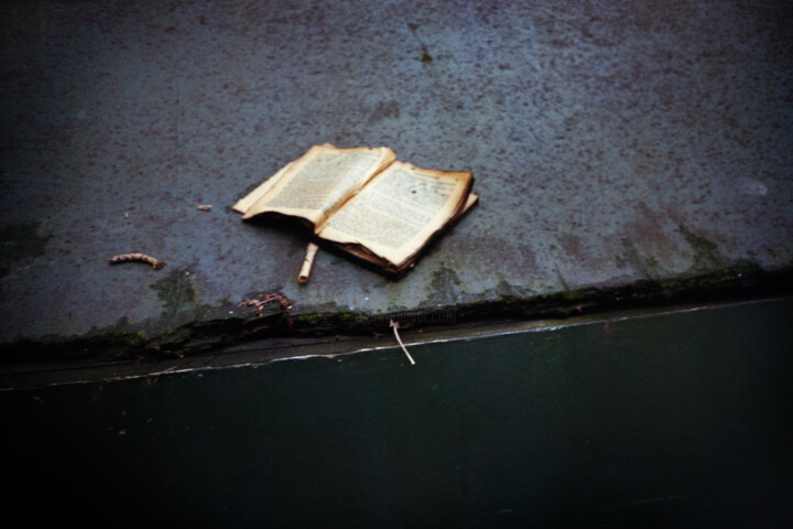 Paralysis #10 Fotoğraf, 4,7x7,1 in