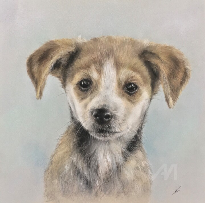 Looking for a home! 图画, 9.8x9.8 in