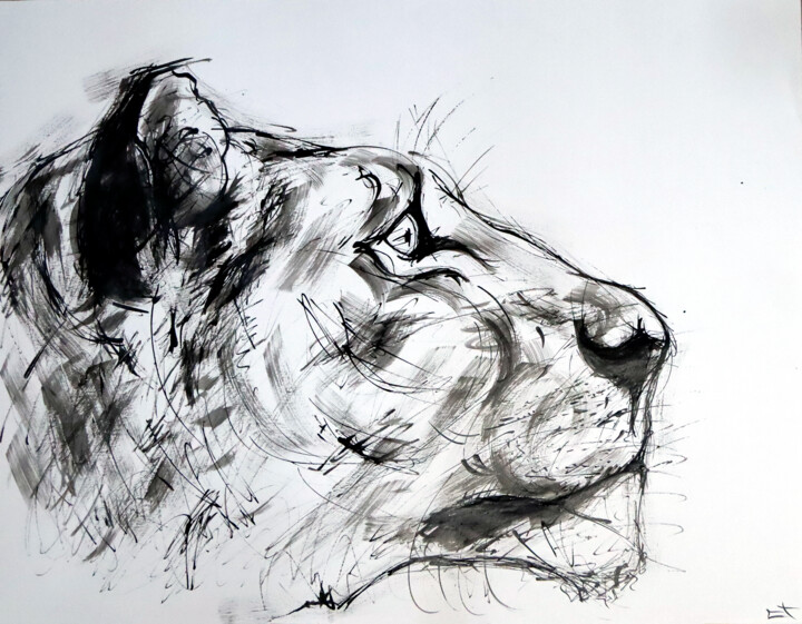 Lionne 图画, 19.7x25.6 in
