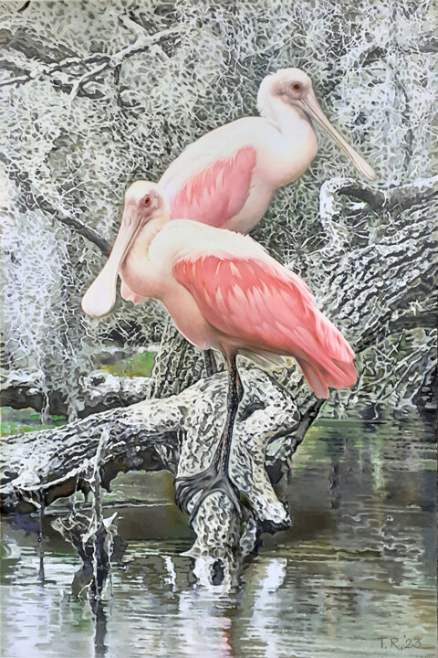 ROSEATE SPOONBILLS Schilderij, 47,2x31,5 in