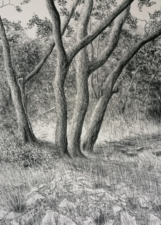 图画,  27.6x19.7 in 