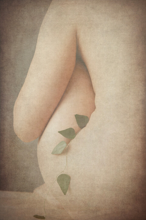 摄影,  35.4x23.6 in 