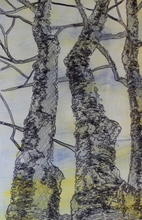ARBRES silhouettes 45.010 图画, 23.6x19.7 in