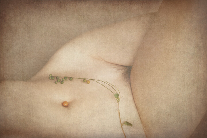 Bodyscapes #14 摄影, 23.6x35.4 in