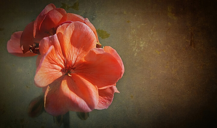 Photography titled "Red." by Dave English, Original Artwork, Digital Photography