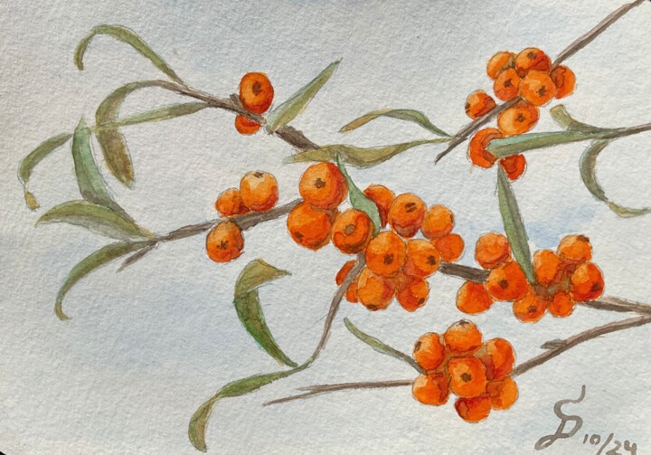 Malerei mit dem Titel "l‘argousier" von Stefan Dhein, Original-Kunstwerk, Aquarell