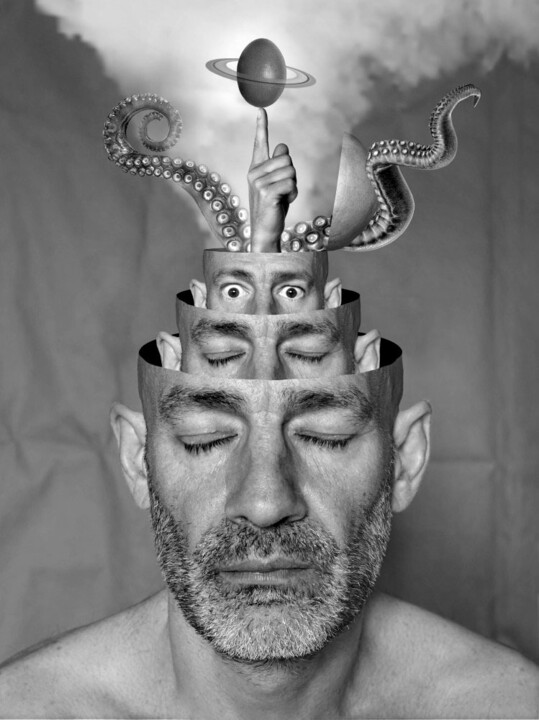 Psychanalise galliforme 摄影, 23.6x17.7 in