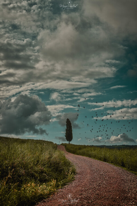 Photography titled "strada dei cipressi…" by Francesco Depierro, Original Artwork, Digital Photography