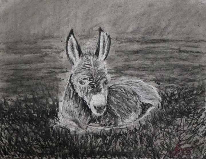 Tekening,  12x16 in 