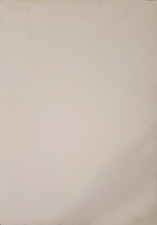 工作的背面