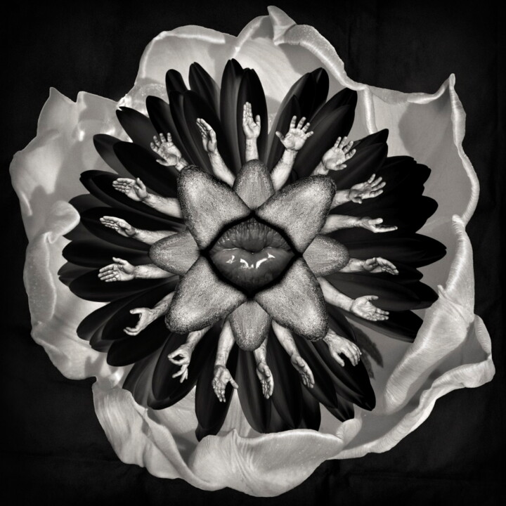 Sexy flower 摄影, 19.7x19.7 in