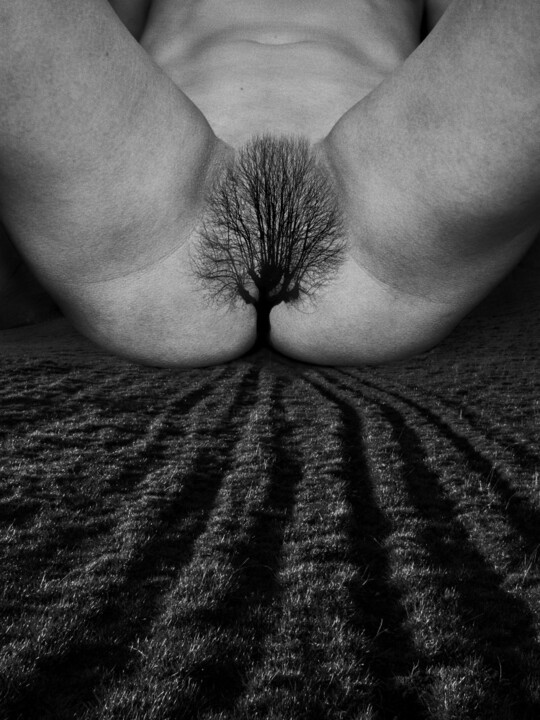 Le sillon 摄影, 31.5x23.6 in