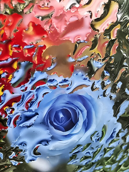Blue rose II Фотография, 23,6x15,8 in