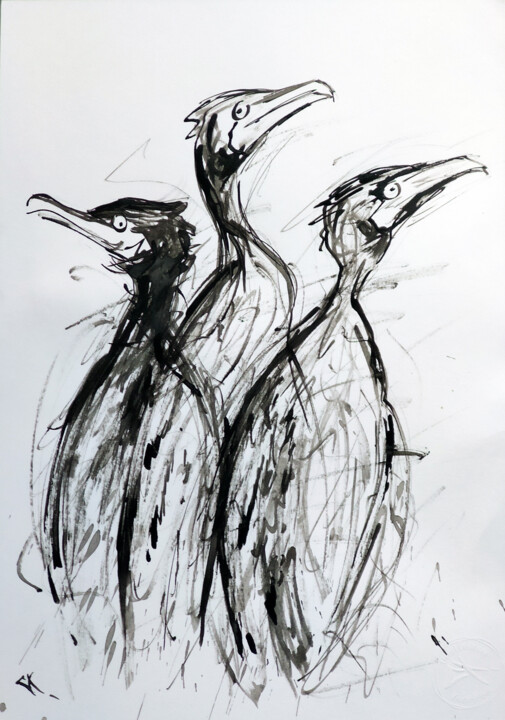 Cormorans 图画, 16.5x11.7 in