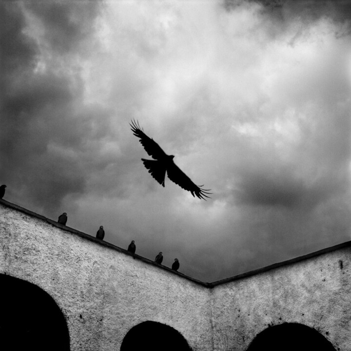 Rapace 摄影, 19.7x19.7 in