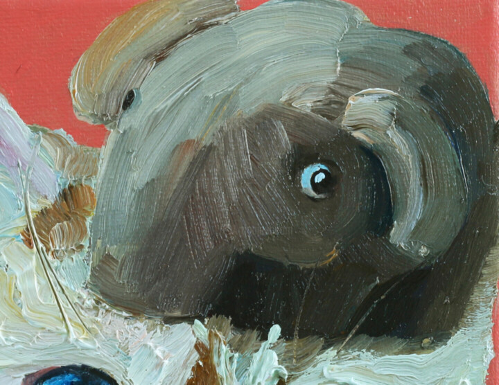 Détails