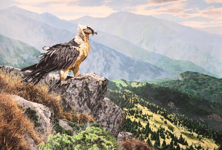 Malerei mit dem Titel "Bearded Vulture" von Julian Wheat, Original-Kunstwerk, Acryl