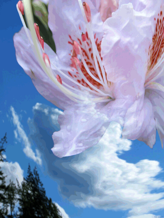Digital Arts titled "SCF Sighting 12(no…" by Ken Grzesik, Original Artwork, 2D Digital Work