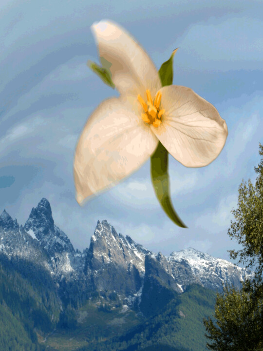 Digital Arts titled "SCF Sighting 16 (no…" by Ken Grzesik, Original Artwork, 2D Digital Work