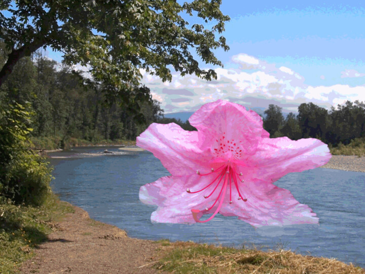 Digital Arts titled "SCF Sighting 17 (no…" by Ken Grzesik, Original Artwork, 2D Digital Work