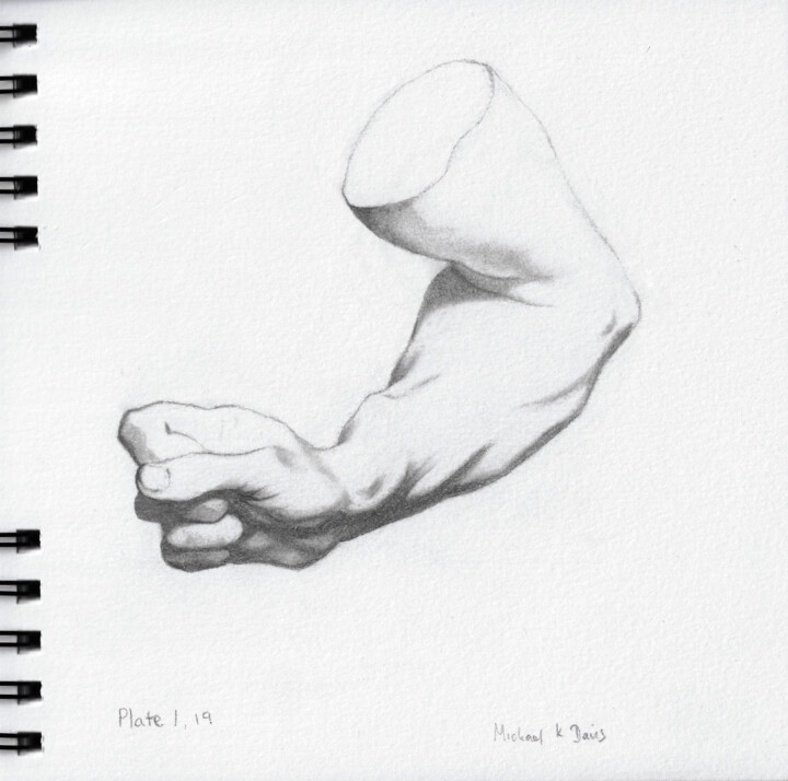 Drawing titled "Plate I,19" by Michael K Davis, Original Artwork, Charcoal Mounted on Cardboard
