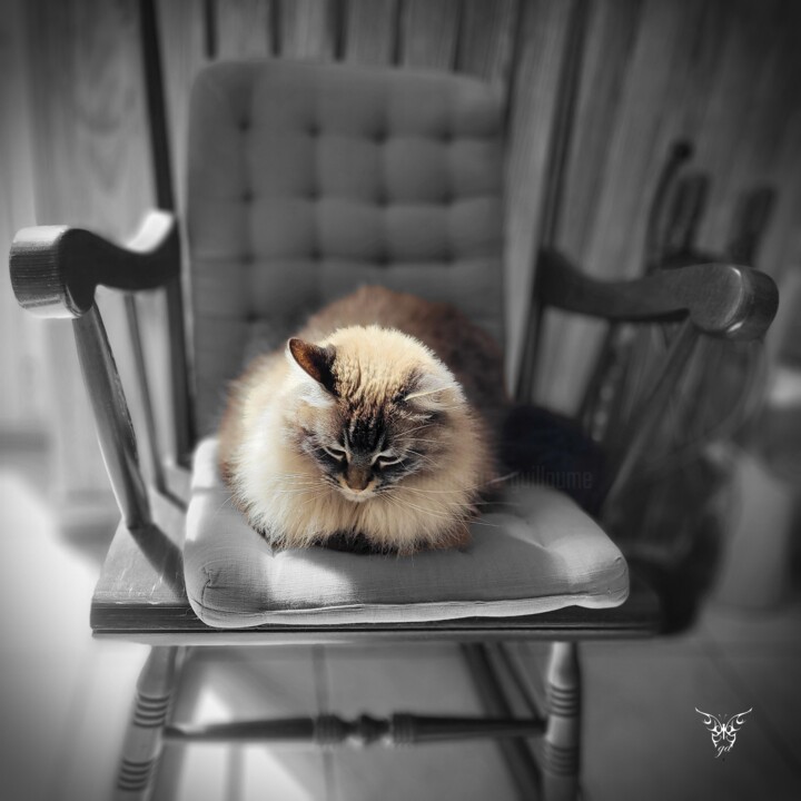 Photography titled "Rocking-chair au ch…" by Dominique Guillaume, Original Artwork, Manipulated Photography