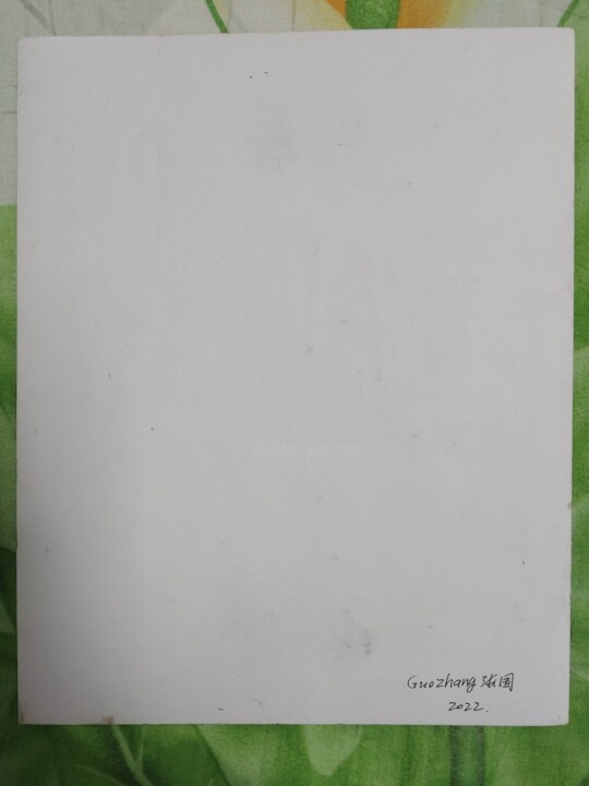 其他意见 3