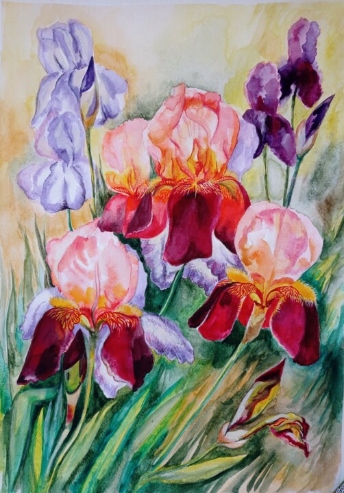 Irises Schilderij, 15,8x11,8 in