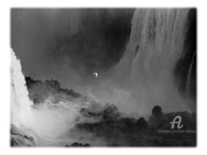 L'aigrette d'Iguazu 사진, 39.4x59.1 in