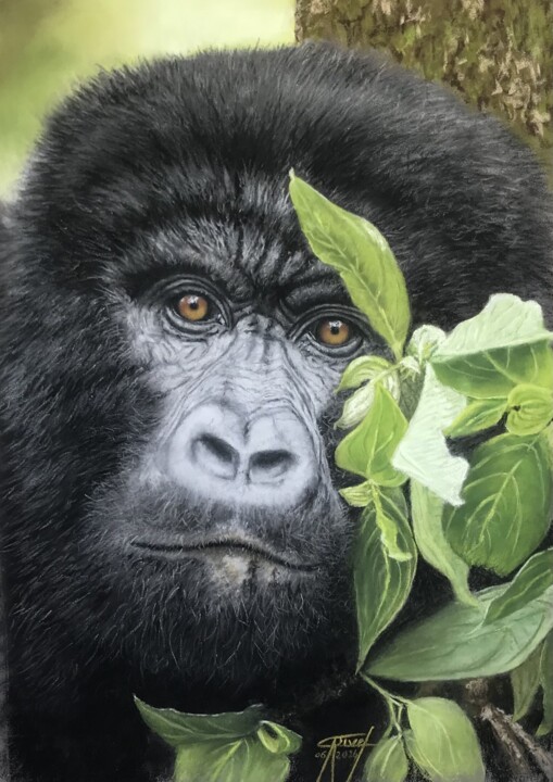 Schilderij getiteld "KOWANGA" door Marie-Christine Rivel, Origineel Kunstwerk, Pastel
