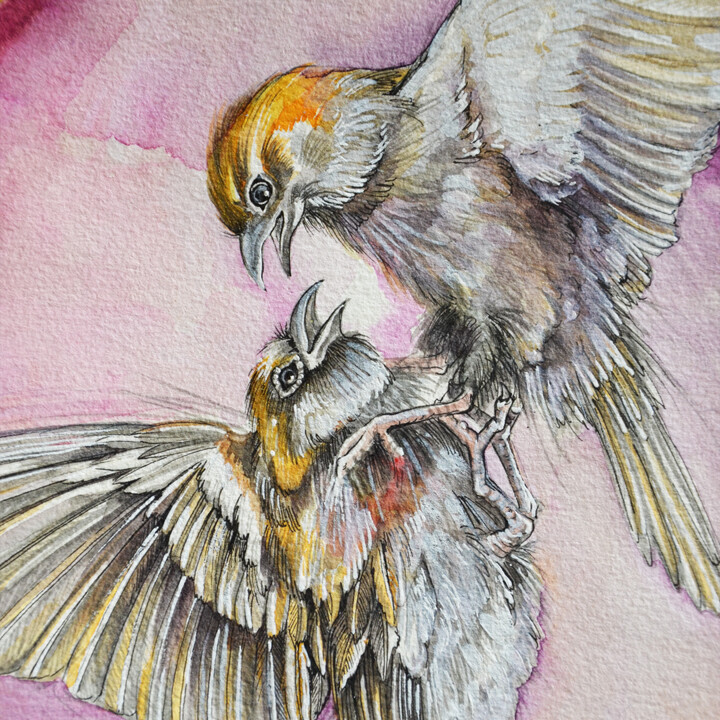 venus fighting Tablo, 11,8x11,8 in