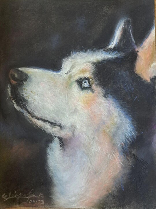 Apollo,o Husky Tablo, 12,2x9,1 in