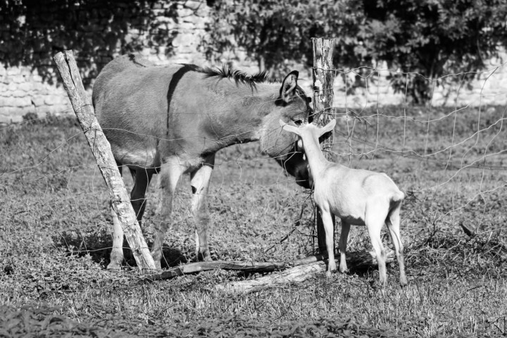 Confidences... 摄影