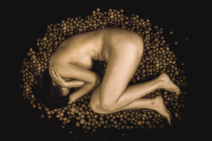 Nude between walnuts 摄影