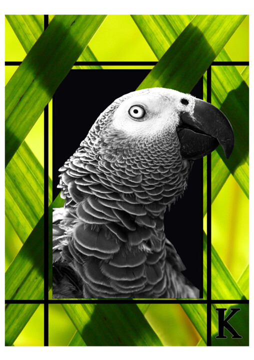 Portrait Perroquet 数字艺术