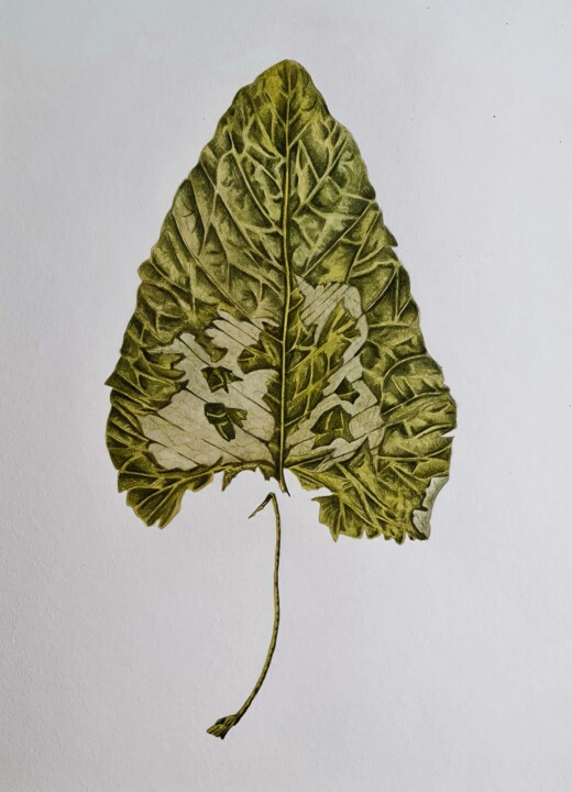 No longer green Painting, 15.8x11.8 in