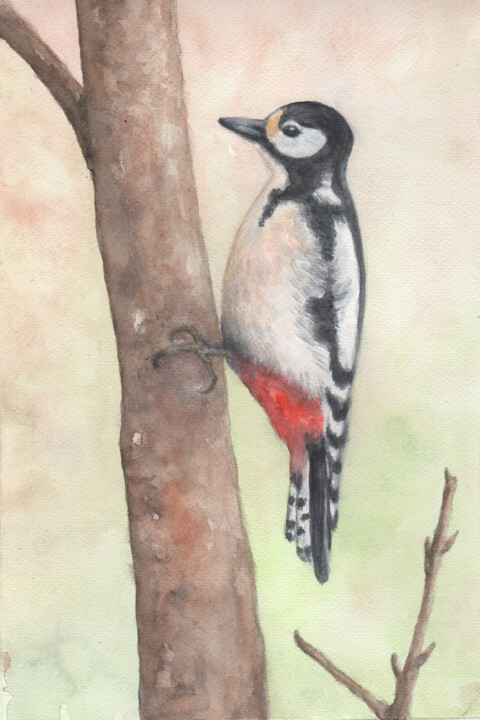 Woodpecker 绘画, 10.6x7.1 in