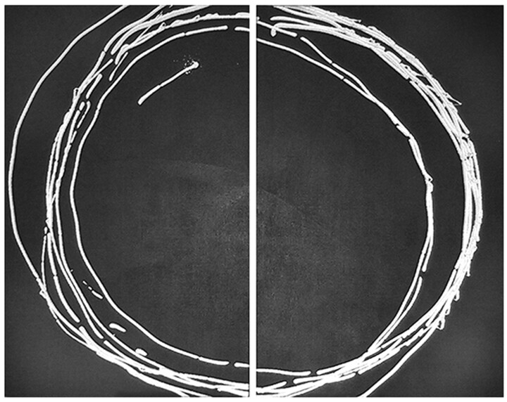 绘画,  53.2x68.1 in 