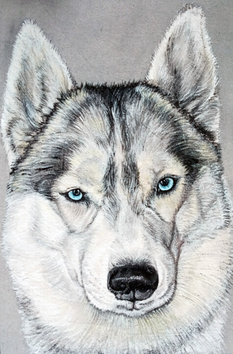 A portrait of a husky. 绘画, 11.8x7.9 in