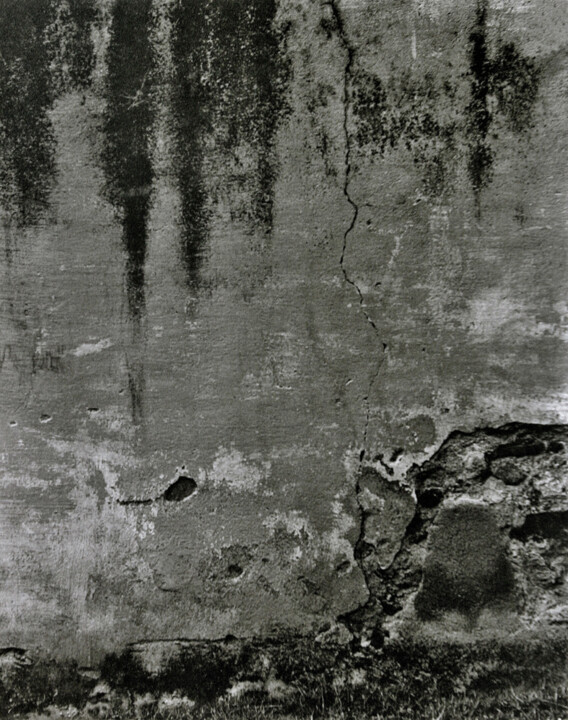摄影,  9.8x7.9 in 
